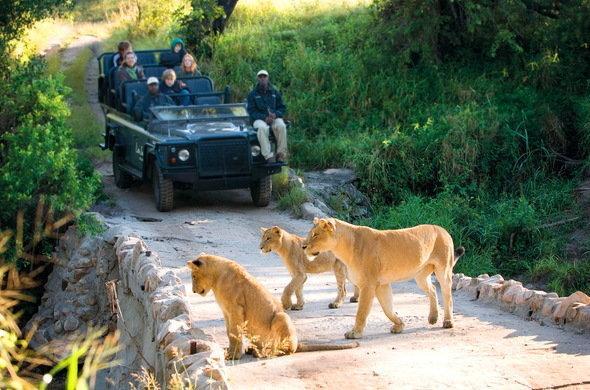Kruger Park Lodge 401 Hazyview Luaran gambar
